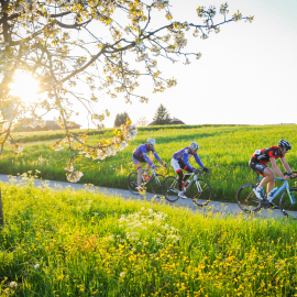 2. MAR Strasse Roggliswil, Mittwoch 04.05.16, Swiss Cycling Luzern, chrisroosfotografie.ch (2016)